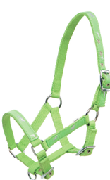 Padded halter with horse motif