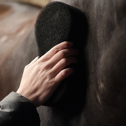 [1381180101000] Éponge SHINE SCRUBBER