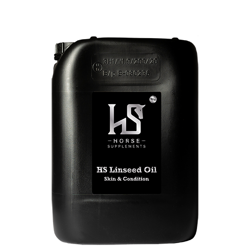 HS Linseed Oil 10L