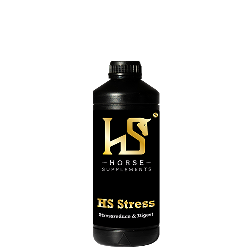 HS Stress 1L