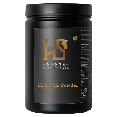 HS Garlic Powder 1.5kg