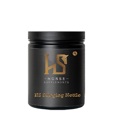 HS Stinging Nettle 500g