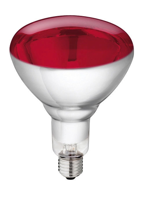 Lampe en verre trempé "Philips" 150W 240V, rouge