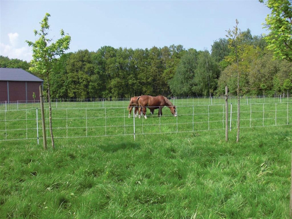 Euronetz voor paarden 120/2 30,5m