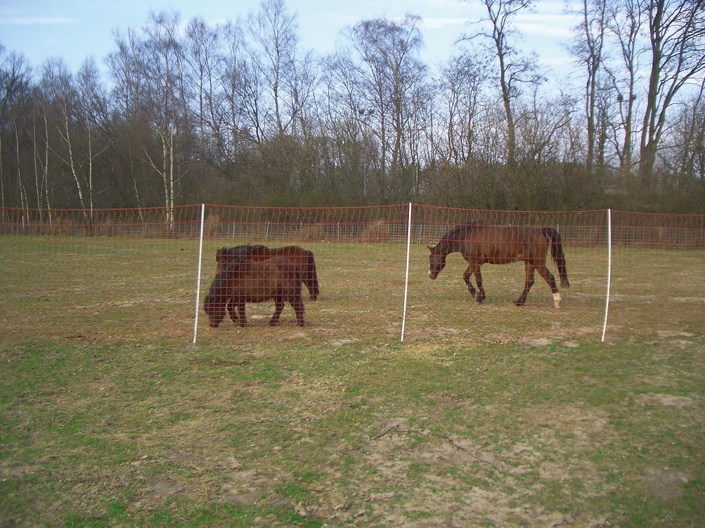 Euronetz Mustang 145/2 50M fijne maas