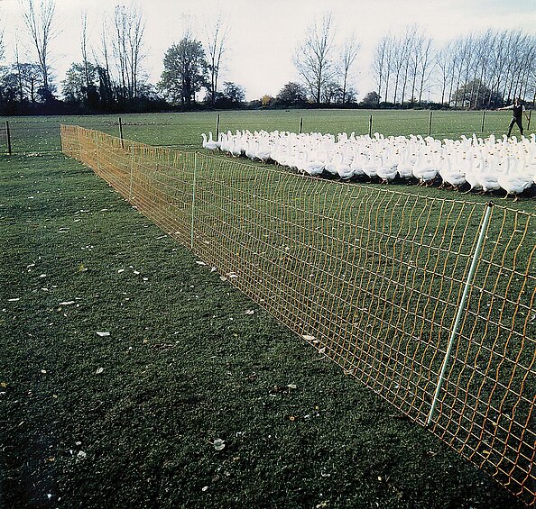 Euronetz 'Geflügel' 112/2 x 50m orange, fencing net for poultry