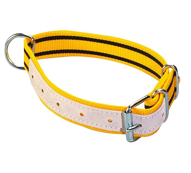 Sheep collar nylon, with D-ring