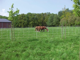 [FG10378] Euronets voor paarden 120/2 30.5m